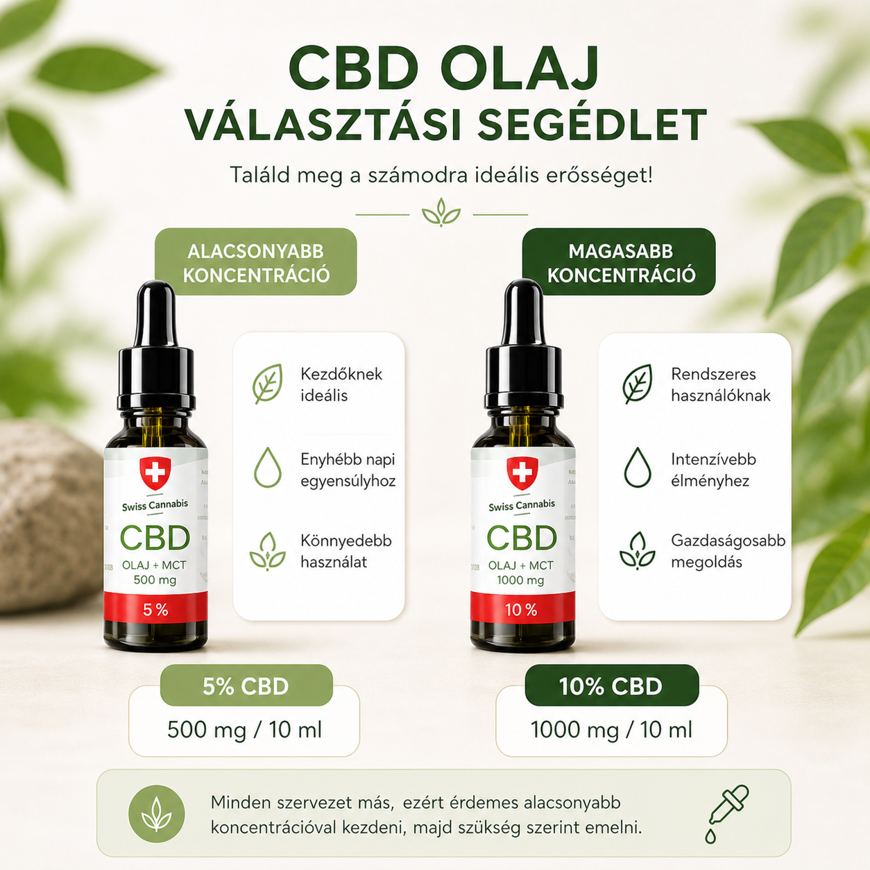 CBD olaj választási segédlet 5% és 10% erősséghez