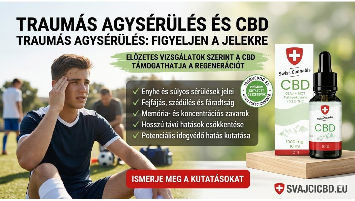 A CBD és az agysérülések kutatása