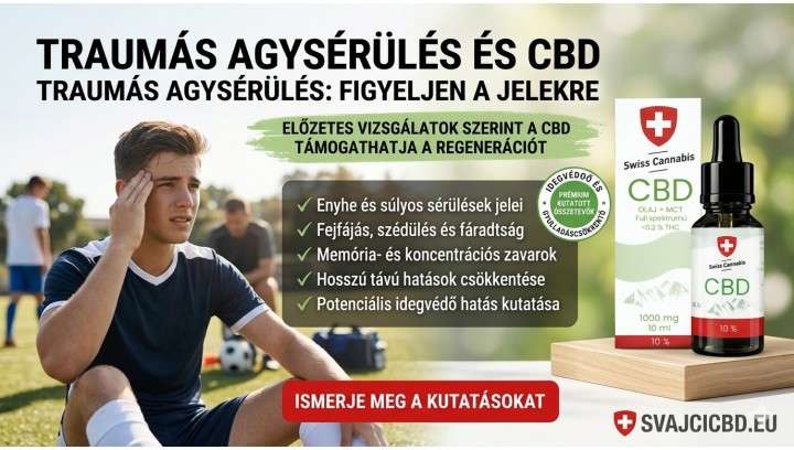A CBD és az agysérülések kutatása – mit érdemes tudni a TBI-ről?