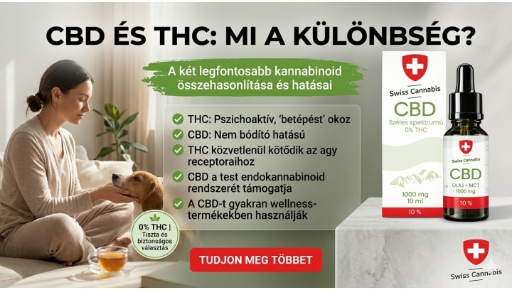 CBD és THC: mi a különbség? – Tudj meg mindent a két kannabinoidról